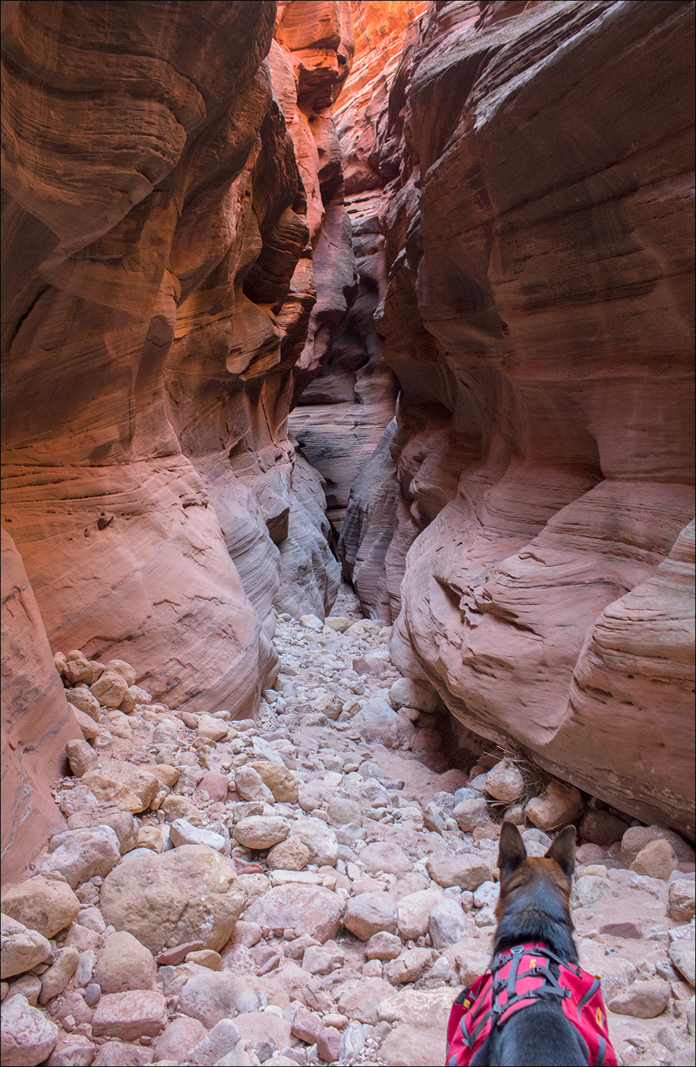 Buckskin Gulch