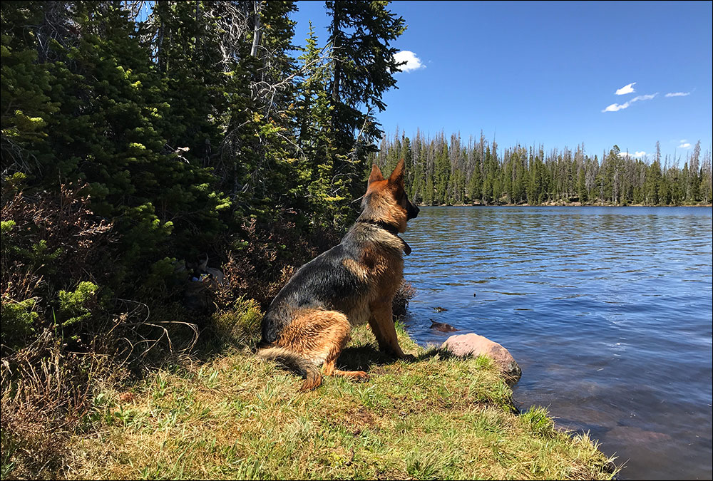 Jäger Grand Daddy Lake