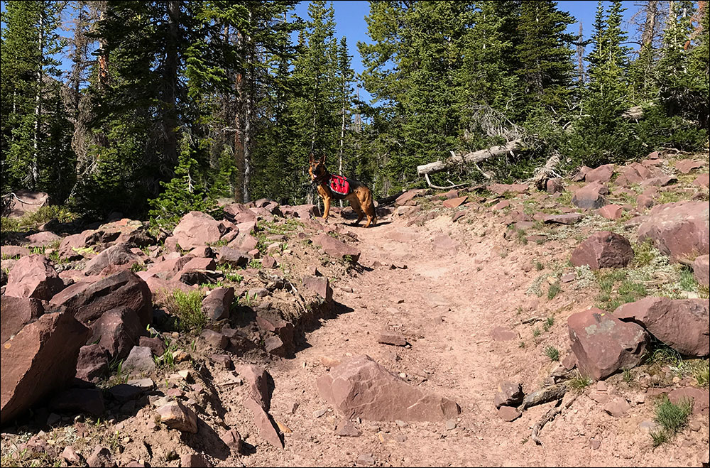 Jäger Grand Daddy Lake Trail