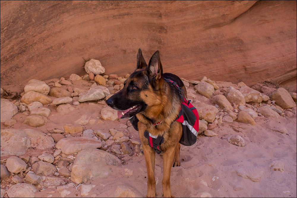 Buckskin Gulch
