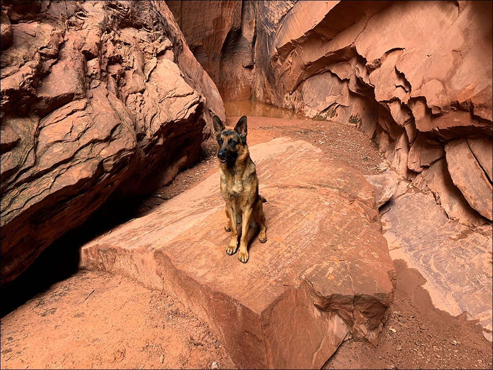 Jäger Singing Canyon