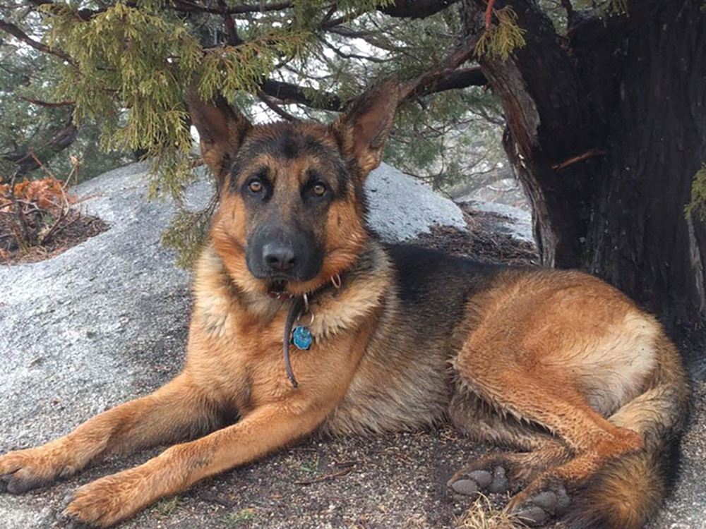 Das Jäger Dry Creek