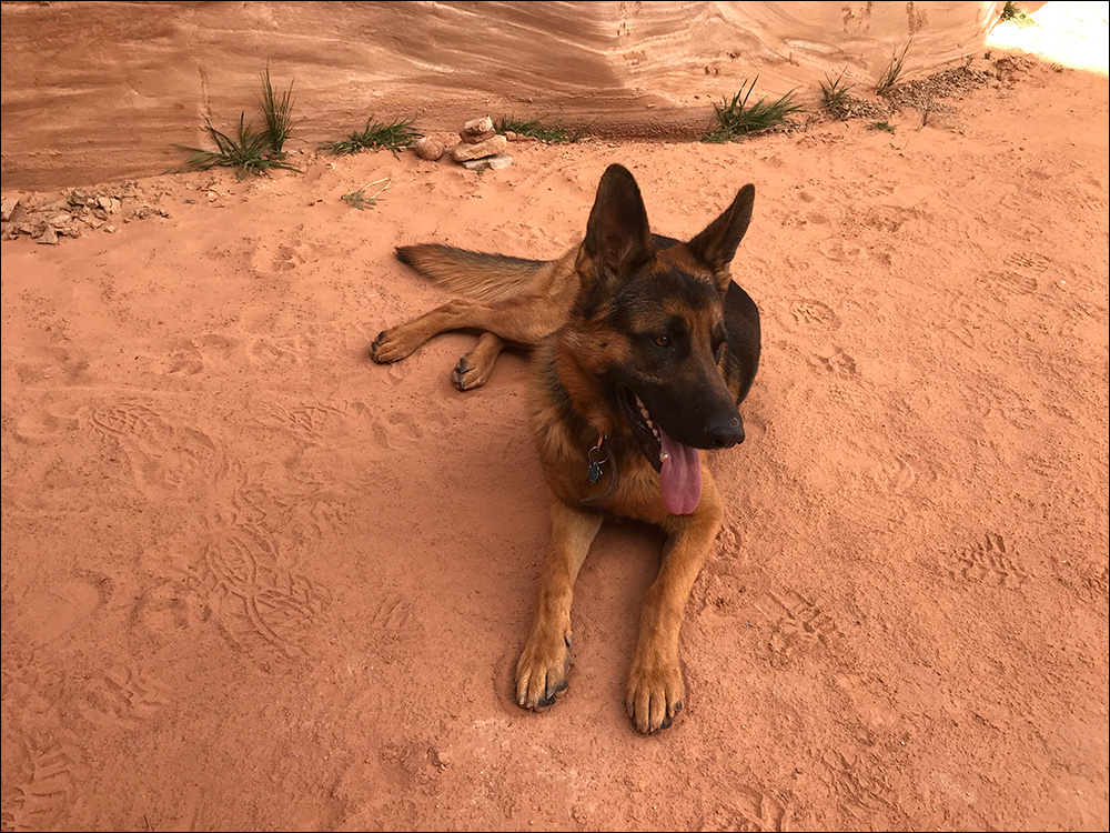 Das Jäger Escalante