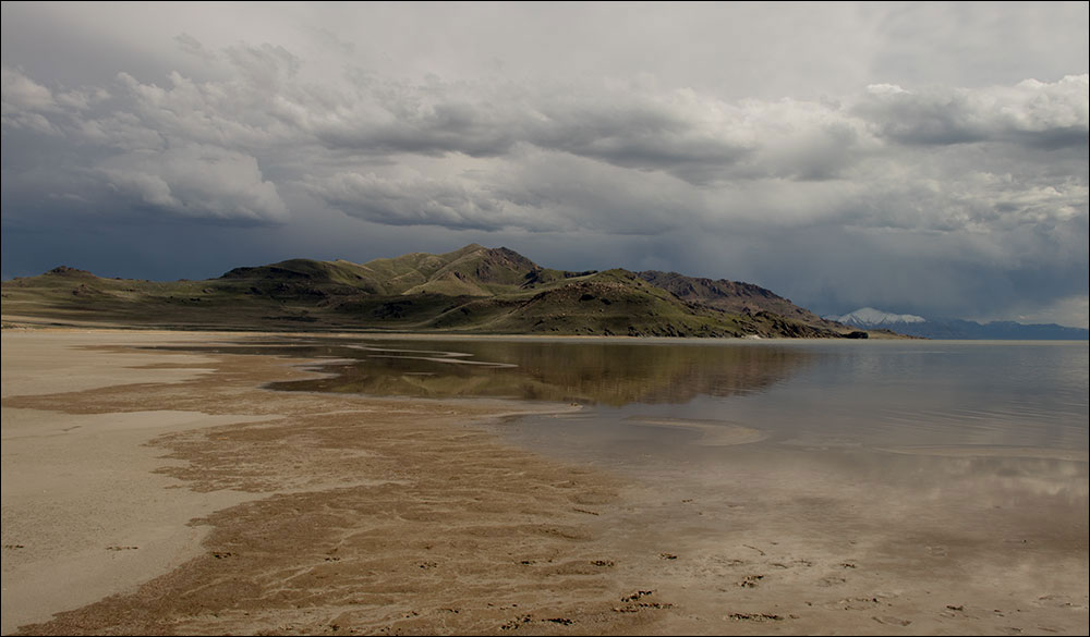 Antelope Island Utah