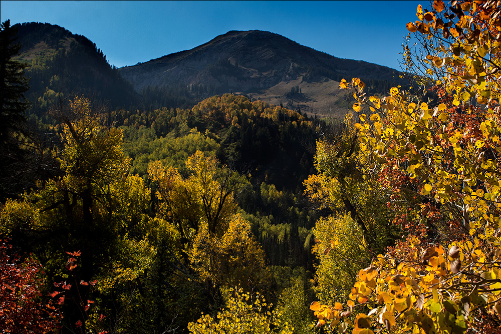 Box Elder Utah
