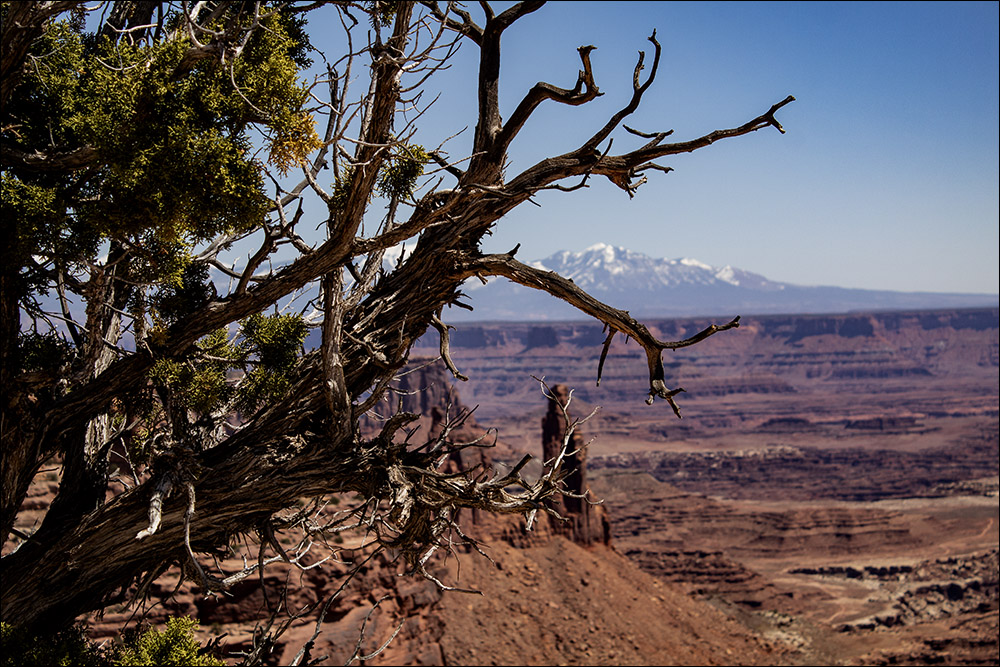Canyonlands Utah