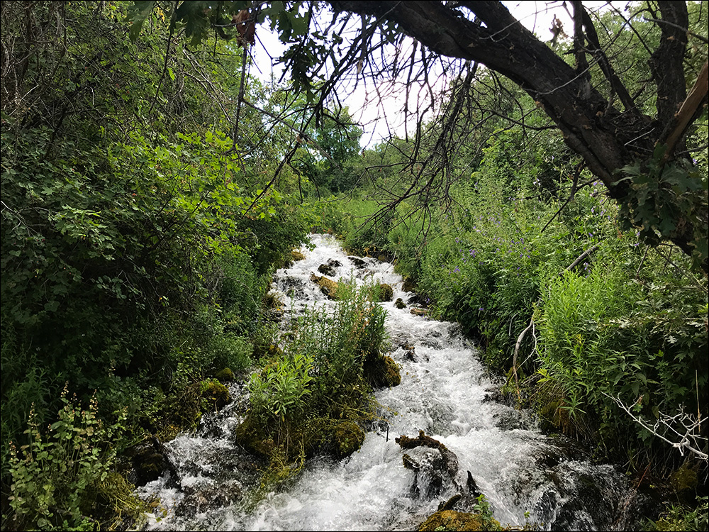 Cascade Springs Utah