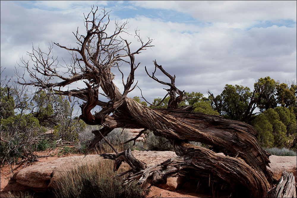 Dead Horse State Park Utah