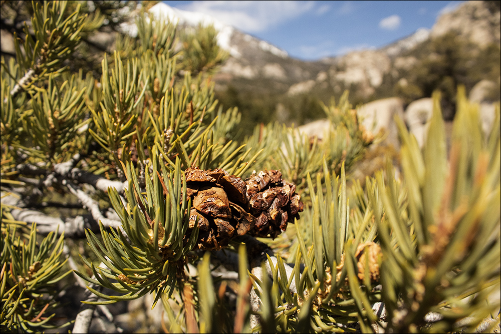 Deep Creek Canyon Utah