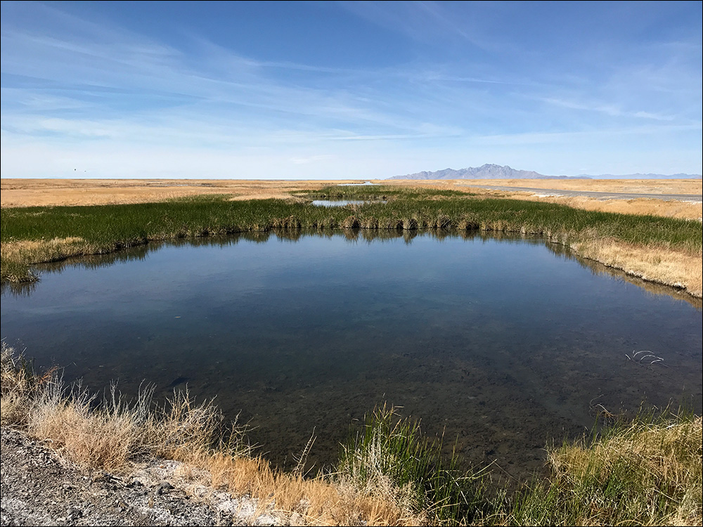 Fish Springs Utah
