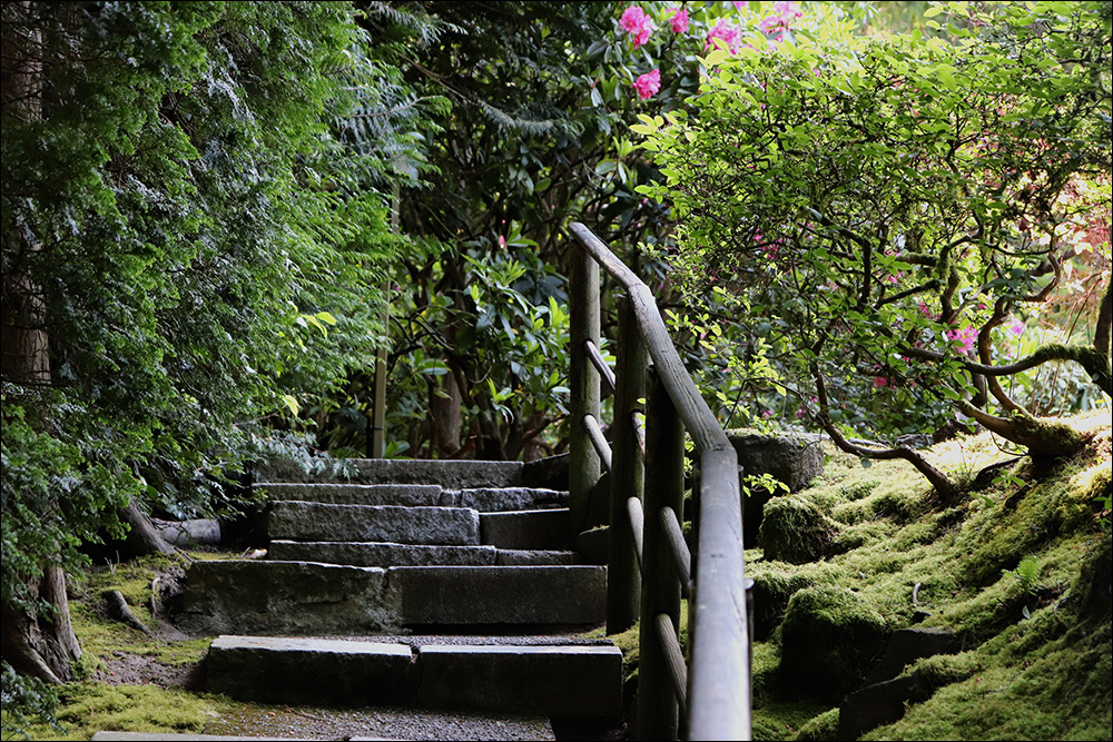 Japanese Garden Seattle