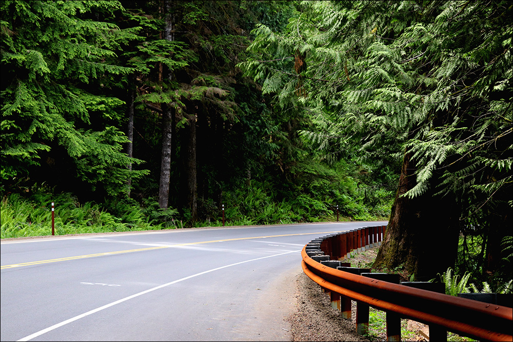 Olympic National Park