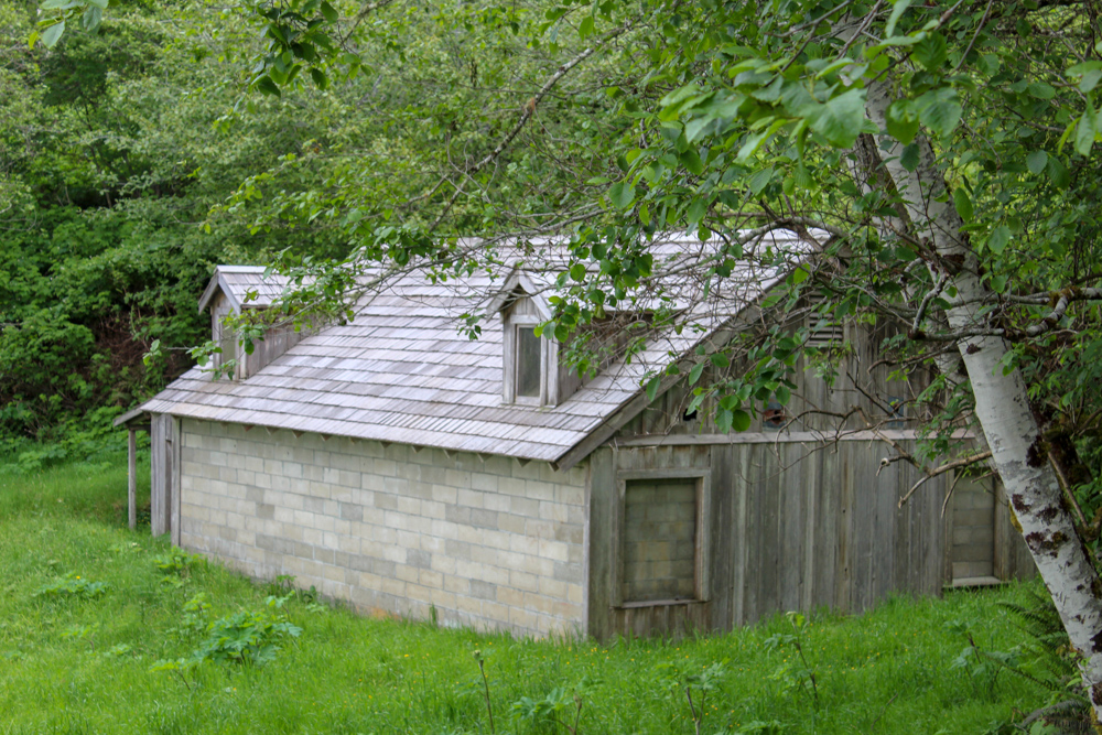 Radar Station Coastal Redwoods