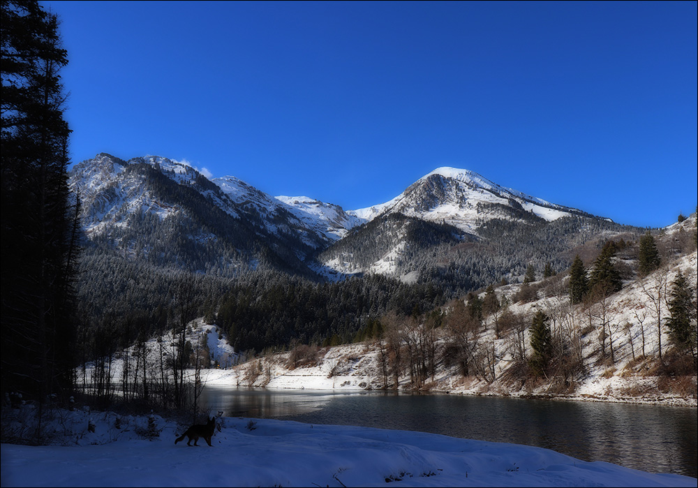 Tibble Fork Utah