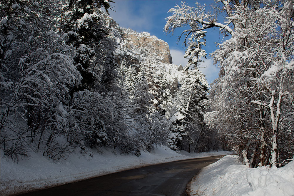 Tibble Fork Road Utah
