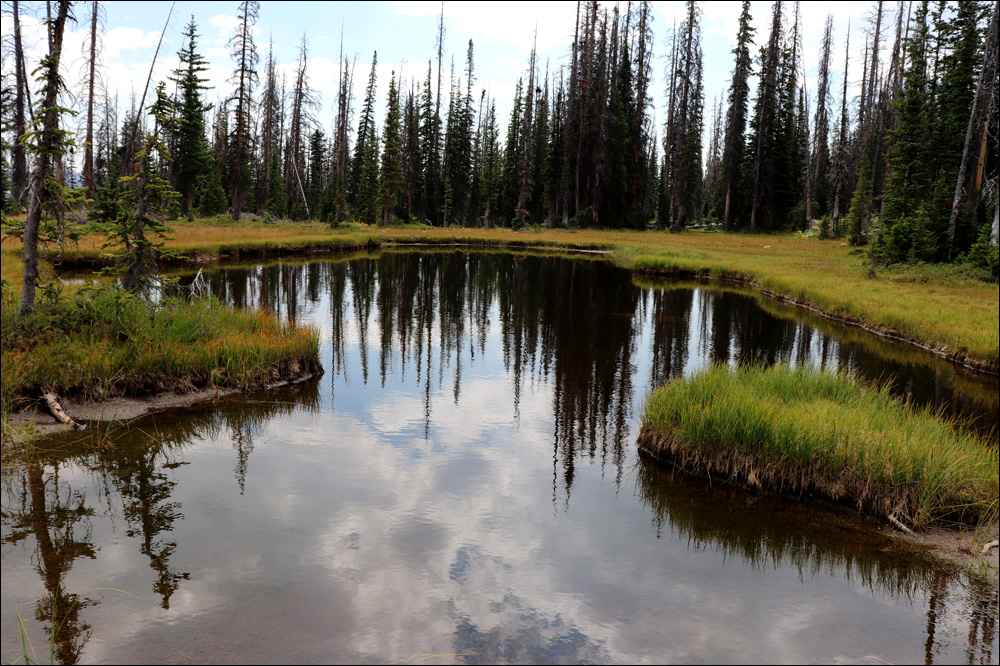 Unita Pond Utah