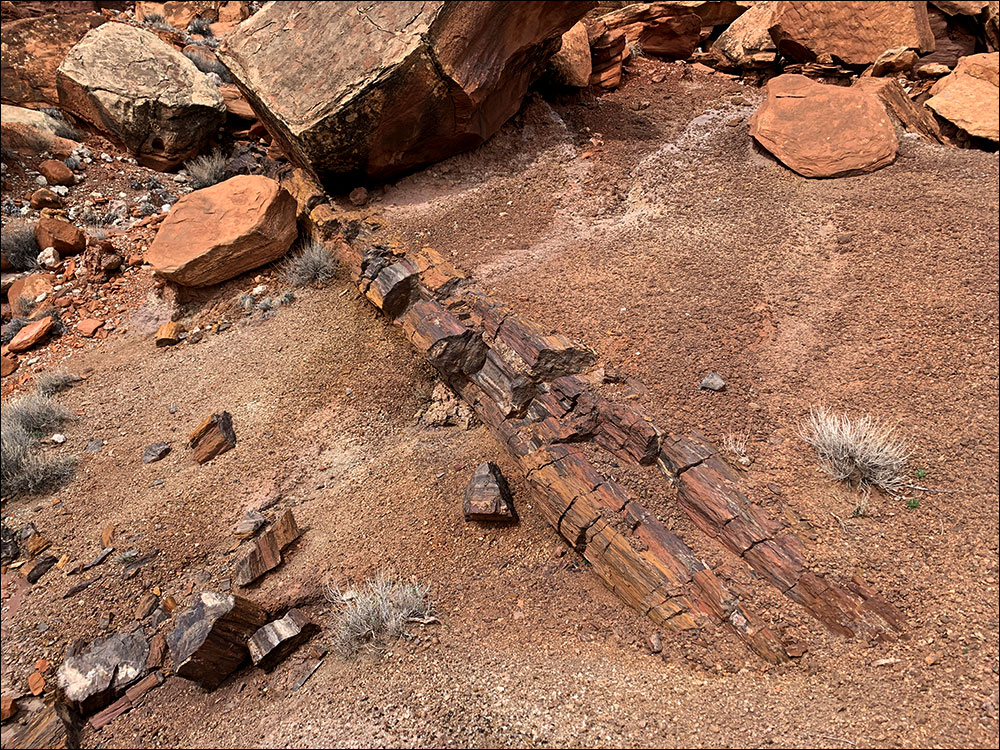 Wolverine Canyon Utah