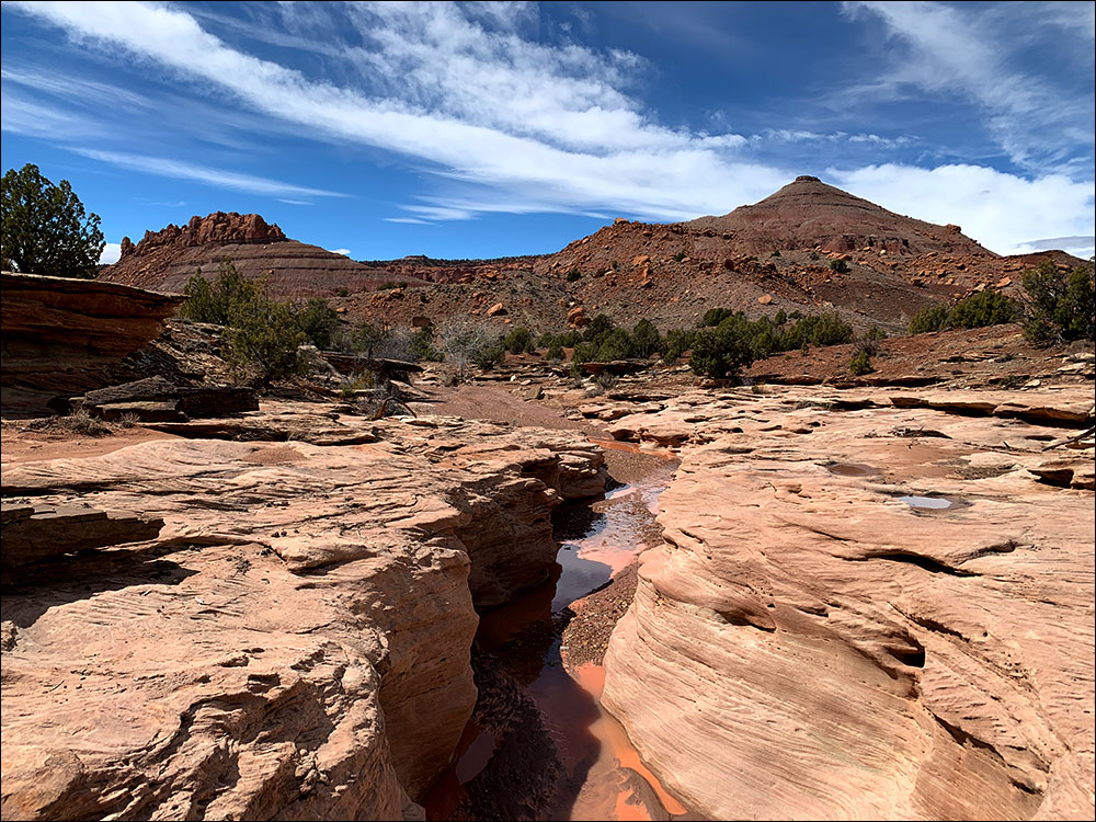 Wolverine Canyon Utah