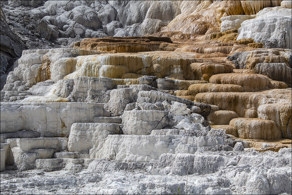 Yellowstone Mammoth Hot Springs Wyoming