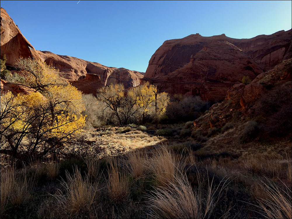 Coyote Gulch Utah
