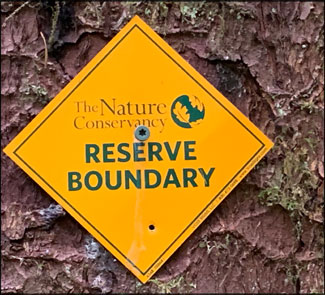 Olympic Park Seattle