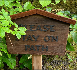 Japanese Garden Seattle